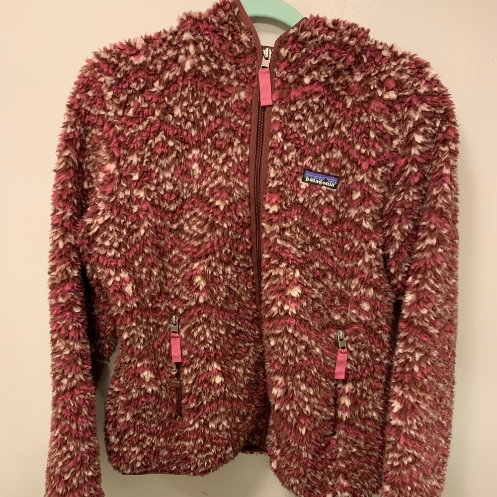 Patagonia Hooded Retro-X Jacket